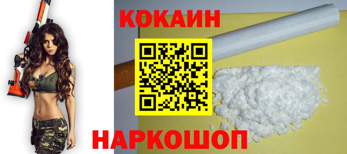 Заводоуковск  Кокаин Fish Scale  Cocaine  где купить   Вход с VPN 