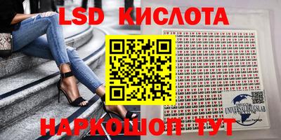 прущие грибы Лесосибирск