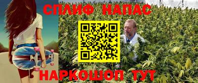 прущие грибы Лесосибирск