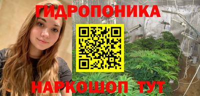 прущие грибы Лесосибирск