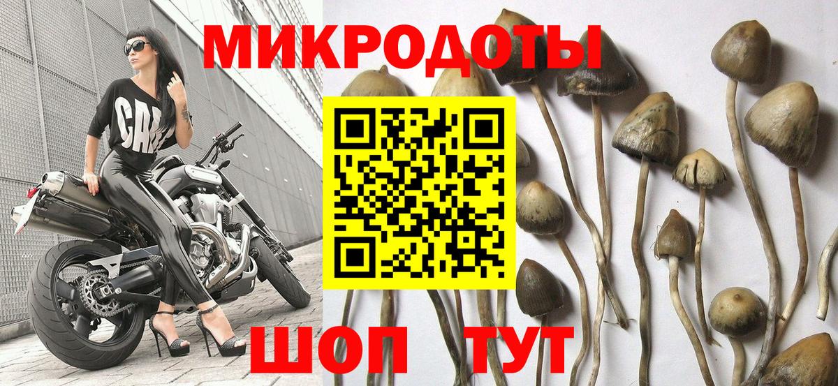 Псилоцибиновые грибы мицелий  Галлюциногенные грибы прущие грибы  Заводоуковск  Вход с VPN 