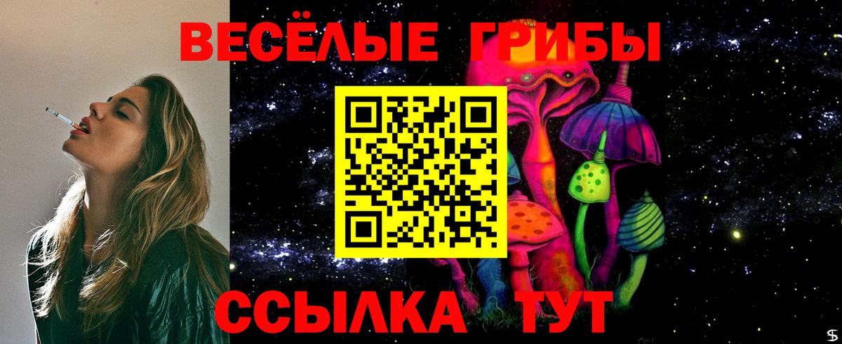 Галлюциногенные грибы мицелий Заводоуковск